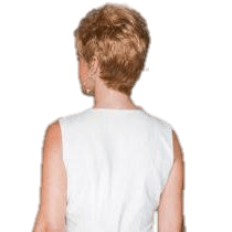 VIP Extensions Aspire by Gabor Wig Black Petite / G2+ Licorice Mist,Petite / G4+ Dark Chocolate Mist,Petite / G6+ Coffee Mist,Petite / G8+ Chestnut Mist,Petite / G10+ Nutmeg Mist,Petite / G11+ Mocha Mist,Petite / G12+ Pecan Mist,Petite / G13+ Cappuccino Mist,Petite / G14+ Almond Mist,Petite / G1