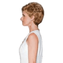 VIP Extensions Aspire by Gabor Wig Black Petite / G2+ Licorice Mist,Petite / G4+ Dark Chocolate Mist,Petite / G6+ Coffee Mist,Petite / G8+ Chestnut Mist,Petite / G10+ Nutmeg Mist,Petite / G11+ Mocha Mist,Petite / G12+ Pecan Mist,Petite / G13+ Cappuccino Mist,Petite / G14+ Almond Mist,Petite / G1