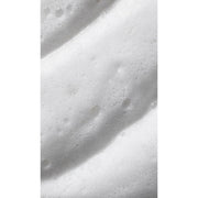 Aveda Aveda Nutri-Plenish Styling Treatment Foam, 6.7 fl oz Styling Treatment Foam Light Gray