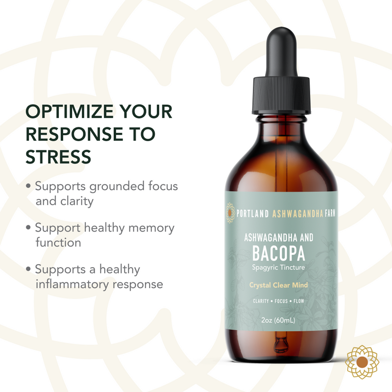 Portland Ashwagandha Farm Ashwagandha Bacopa - Spagyric Tincture Tincture Dark Slate Gray 2oz,4oz