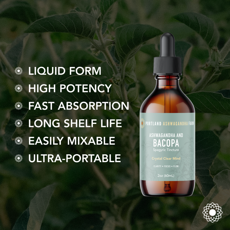 Portland Ashwagandha Farm Ashwagandha Bacopa - Spagyric Tincture Tincture Black 2oz,4oz