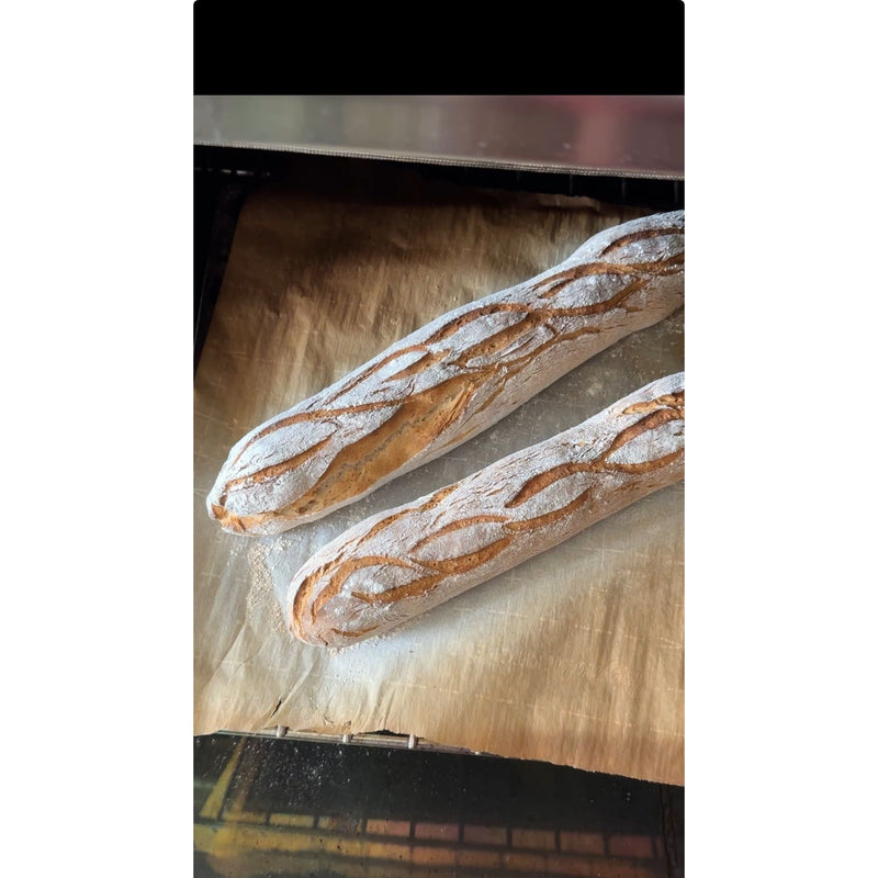 gfJules gfJules Gluten Free Bread Mix Black Pack of 1,Pack of 4,Case of 12