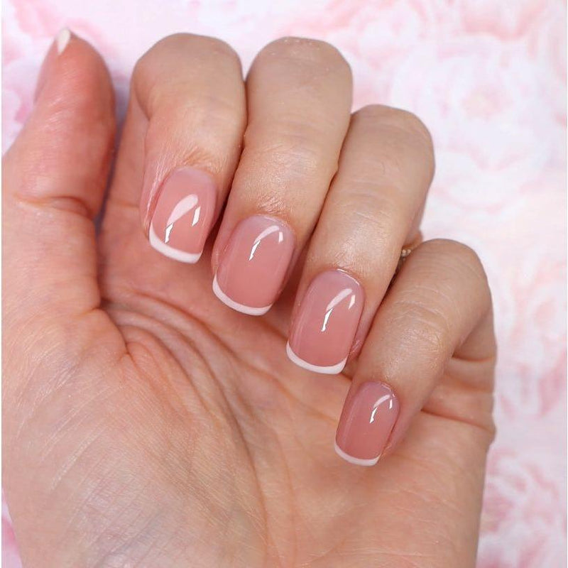 Red Iguana LLC White Smile French Gel Paint Nail Art Rosy Brown