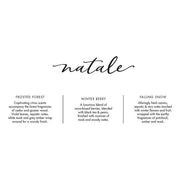 Via Mercato Via Mercato Frosted Forest Petite Reed Diffuser 1.3oz Reed Diffuser Dark Slate Gray