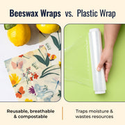 ZeroWasteStore.com Beeswax Wraps – Plastic-Free Food Storage Food Wraps Seashell Honeycomb / 3-Pack Assorted,Honeycomb / 3-Pack Medium,Honeycomb / 3-Pack Large,Honeycomb / Bread Wrap,Pollinators / 3-Pack Assorted,Pollinators / 3-Pack Medium,Pollinators / 3-Pack Large,Pollinators / Bread Wrap,Fruit / 3-Pack Assorted,Fruit / 3-Pack Medi