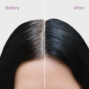 Style Edit Root Touch Up Powder and Spray Duo Gift Set Lavender Black,Dark Brown,Medium Brown,Light Brown
