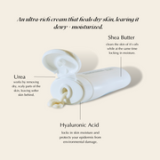 EpiLynx Ultra-Hydrating Hand Cream – Nourishing, Vegan & Allergen-Friendly Beige