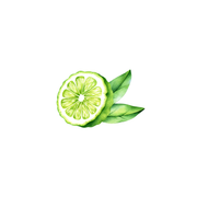 Rustic Strength Bergamot Essential Oil Scenting Oil White Smoke