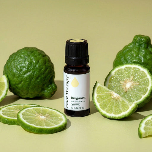 Plant Therapy Bergamot Essential Oil Essential Oil Khaki 10 mL,30 mL,100 mL