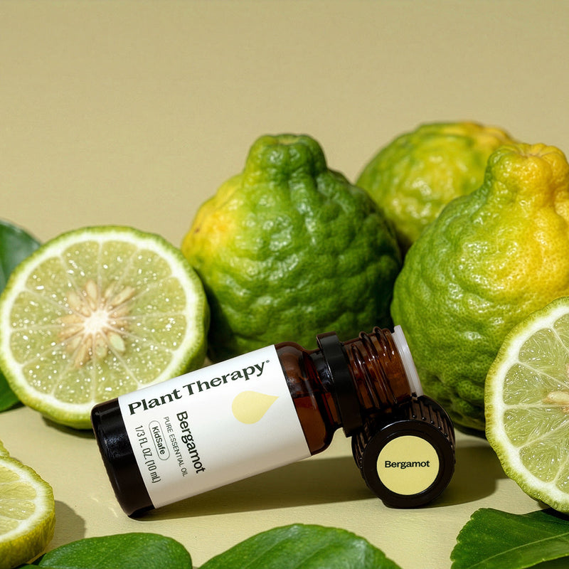 Plant Therapy Bergamot Essential Oil Essential Oil Tan 10 mL,30 mL,100 mL