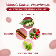 Snap Supplements Blood Sugar + Berberine White Smoke