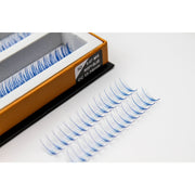 Mega Lash Academy Blue Wispy 5D Rapid Promade Fans - 600 Fans Promade Fans Lavender 0.07 / CC / Mixed 11-12-13-14 mm