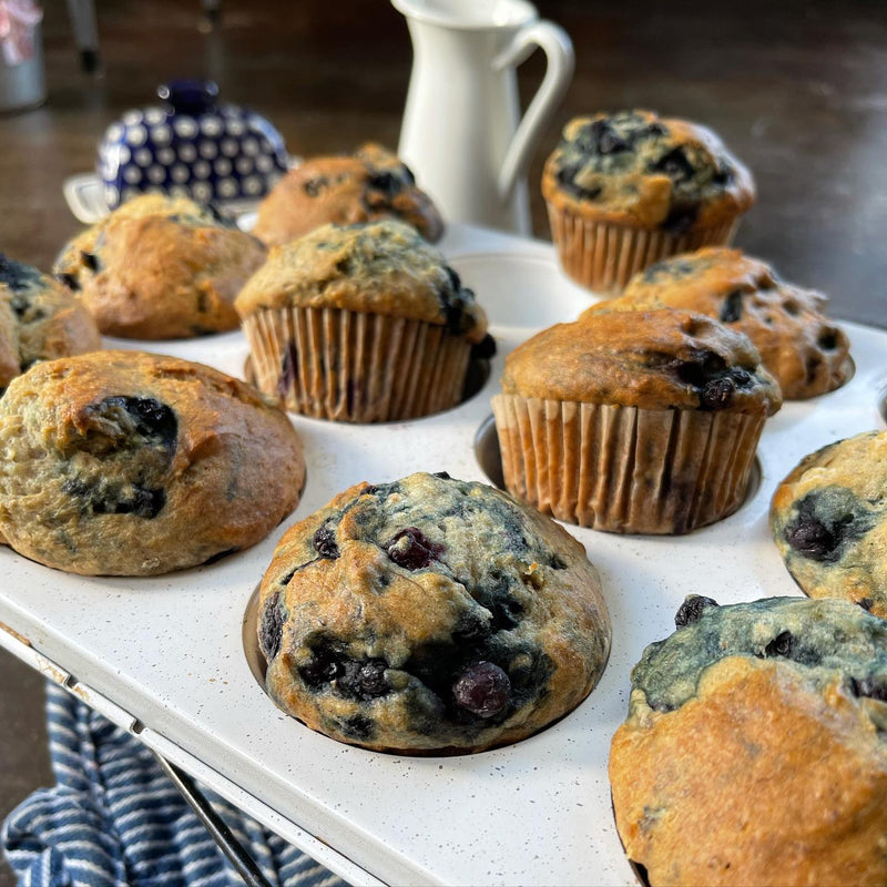 gfJules gfJules Gluten Free Muffin Mix Lavender Pack of 1,Pack of 4,Case of 12
