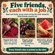 Hippie Farms Premium Total Heart & Circulation Blend - Beetroot & Friends Vitamins & Supplements Bisque