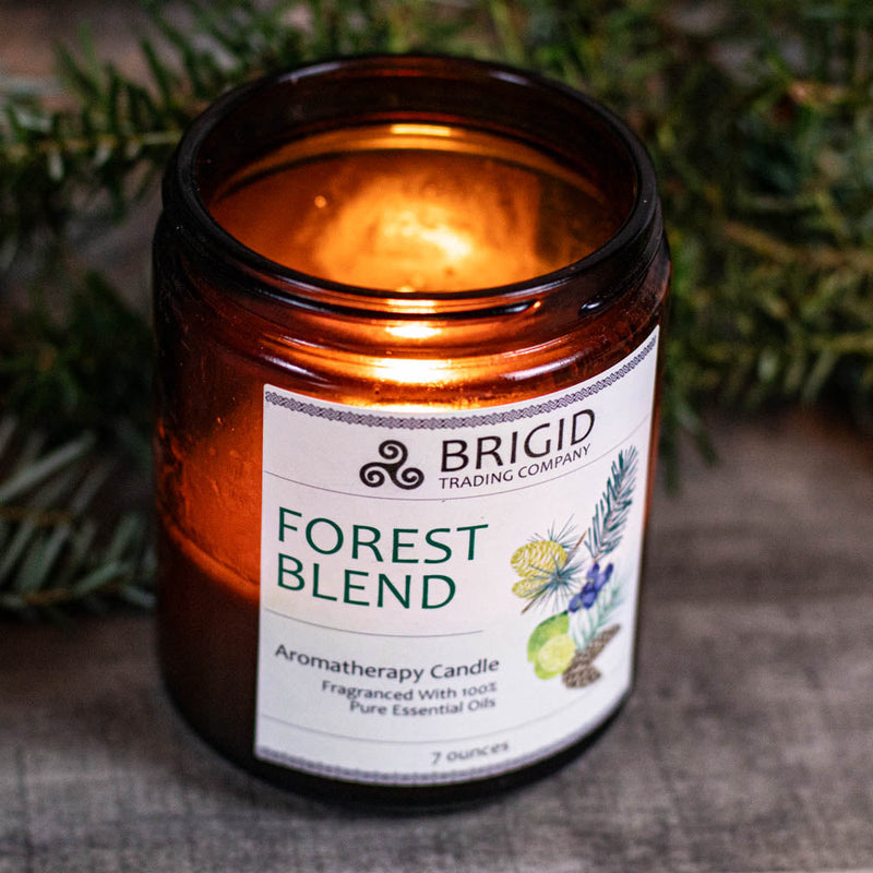 Brigid Trading Company Forest Blend Soy Wax Candle - Juniper, Pine, Balsam, Cedar, and Lime Aromatherapy Candle Black 7oz amber jar,3oz pewter tin