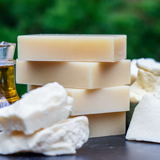 Chagrin Valley Soap & Salve Shampoo Bar: Butter Bar Conditioner Shampoo Bar Dark Green Travel Size Bar 1.7 oz