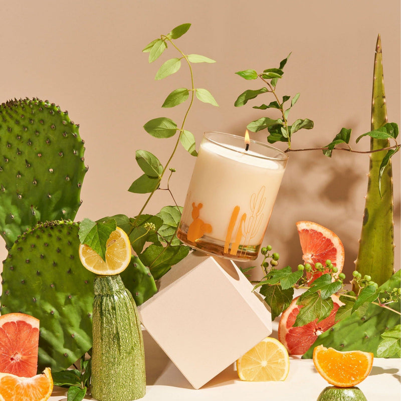 Wax Buffalo Cactus Tan 12oz Pure Soy Candle,Fragrance Spray,Cocktail Glass Only (Single)