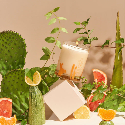 Wax Buffalo Cactus Tan 12oz Pure Soy Candle,Fragrance Spray,Cocktail Glass Only (Single)