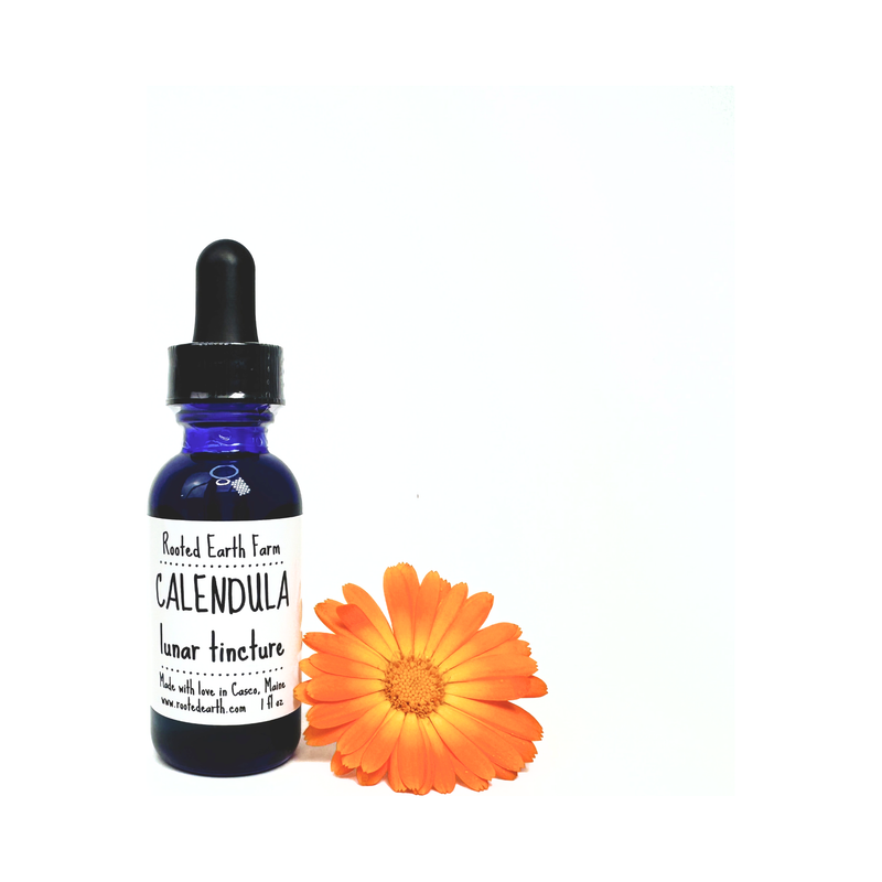 Rooted Earth Farm + Apothecary Calendula Tincture Tinctures + Capsules Dark Slate Gray 1 oz