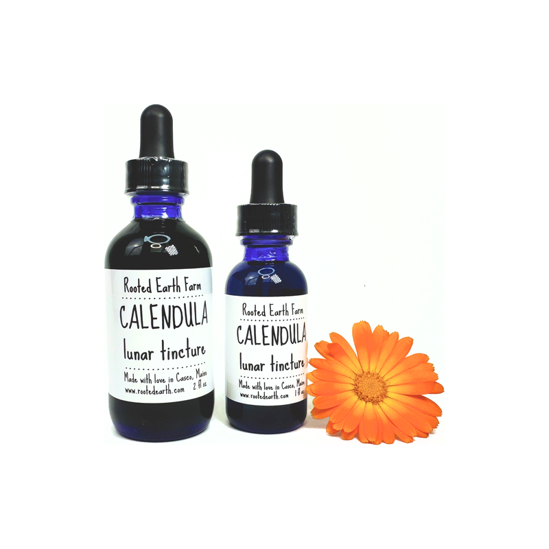 Rooted Earth Farm + Apothecary Calendula Tincture Tinctures + Capsules Dark Slate Gray 1 oz,2 oz
