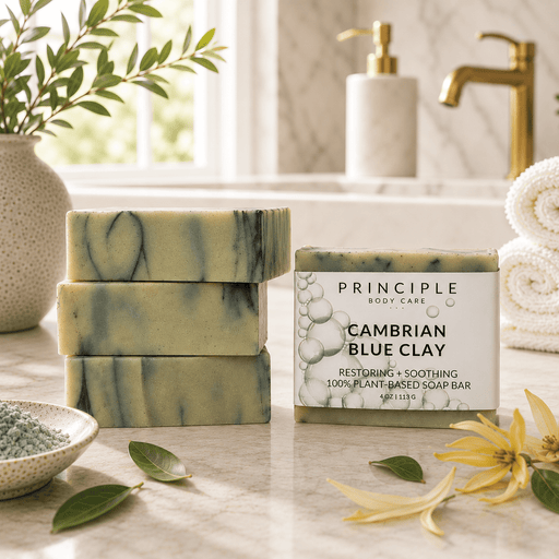 P R I N C I P L E Cambrian Blue Clay Soap Bar Soap Gray