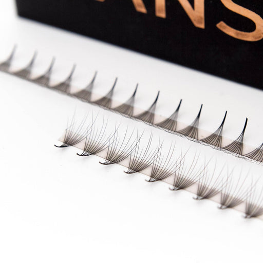 Mega Lash Academy Camellia 10D Rapid Promade Fans® Promade Fans Black 0.03 / CC / 8/10/12,0.03 / CC / 9/11/13,0.03 / CC / 10/12/14,0.03 / CC / 11/13/15,0.03 / CC / 12/14/16,0.03 / CC / 13/15/17,0.03 / CC / 14/16/18
