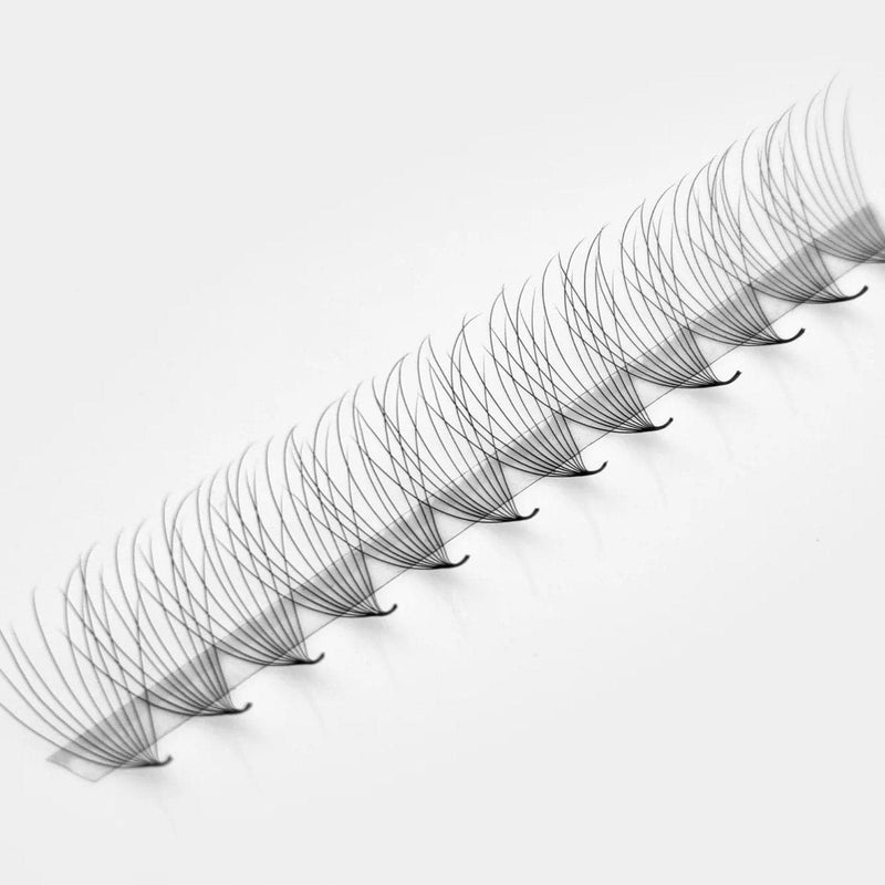 Mega Lash Academy Camellia 10D Rapid Promade Fans® Promade Fans White Smoke 0.03 / CC / 8/10/12,0.03 / CC / 9/11/13,0.03 / CC / 10/12/14,0.03 / CC / 11/13/15,0.03 / CC / 12/14/16,0.03 / CC / 13/15/17,0.03 / CC / 14/16/18