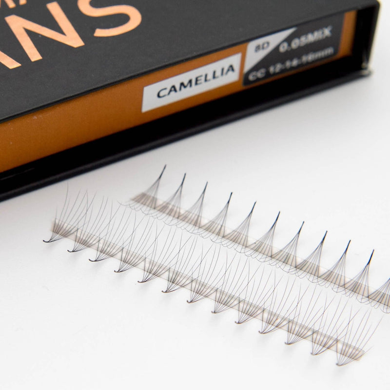 Mega Lash Academy Camellia 8D Rapid Promade Fans® Promade Fans Dark Slate Gray 0.05 / CC / 8/10/12,0.05 / CC / 9/11/13,0.05 / CC / 10/12/14,0.05 / CC / 11/13/15,0.05 / CC / 12/14/16,0.05 / CC / 13/15/17