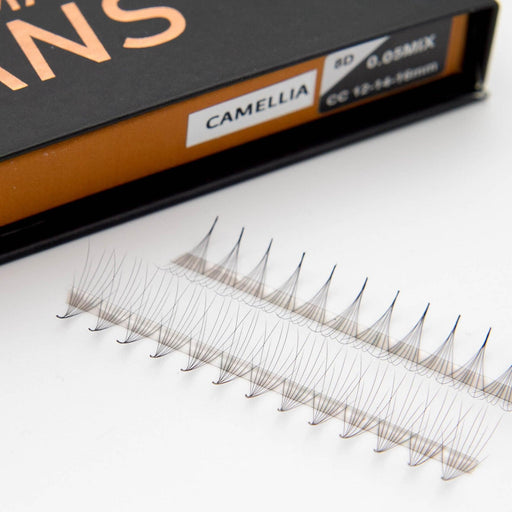 Mega Lash Academy Camellia 8D Rapid Promade Fans® Promade Fans Dark Slate Gray 0.05 / CC / 8/10/12,0.05 / CC / 9/11/13,0.05 / CC / 10/12/14,0.05 / CC / 11/13/15,0.05 / CC / 12/14/16,0.05 / CC / 13/15/17