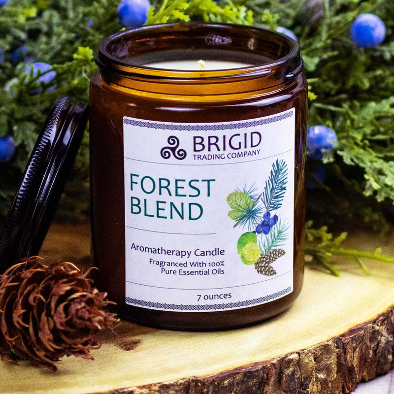 Brigid Trading Company Forest Blend Soy Wax Candle - Juniper, Pine, Balsam, Cedar, and Lime Aromatherapy Candle Black 7oz amber jar