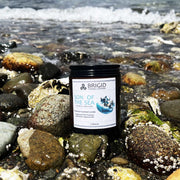 Brigid Trading Company Son of the Sea Soy Wax Candle - Sea Salt, Ocean Breeze, and Saddle Leather Premium Scented Candle Black 7oz amber jar,3oz pewter tin