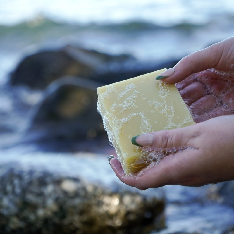 Chagrin Valley Soap & Salve Natural Soap: Castile & Cocoa Soap Alice Blue Full Bar 5.6 oz,Travel Size Bar 1.7 oz