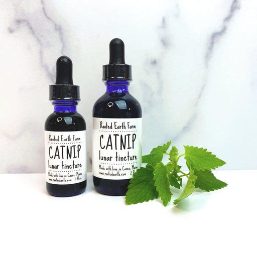 Rooted Earth Farm + Apothecary Catnip Tincture Tinctures + Capsules White Smoke 1 oz,2 oz