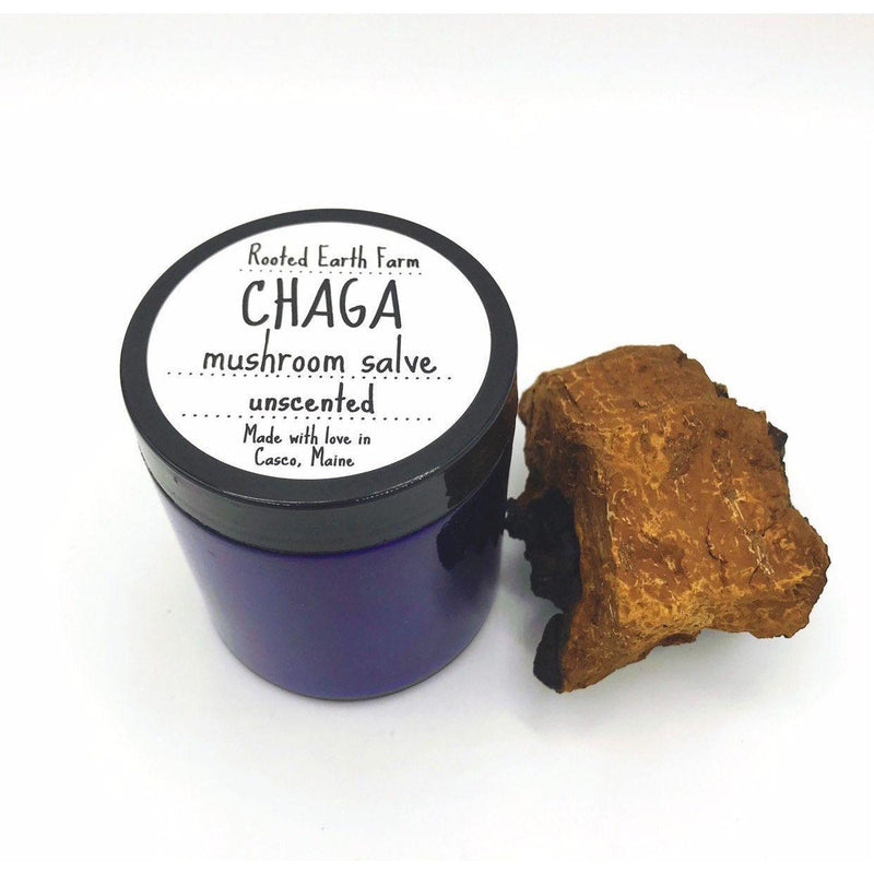 Rooted Earth Farm + Apothecary Chaga Salve Herbal Salves + Balms Lavender Unscented,Lavender