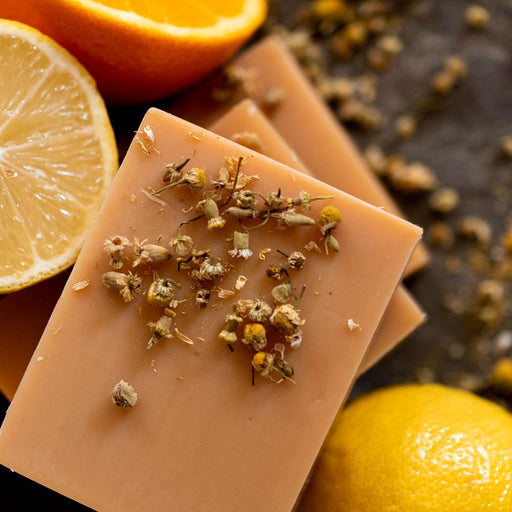 Chagrin Valley Soap & Salve Shampoo Bar: Chamomile & Citrus Shampoo Bar Chocolate Travel Size Bar 1.7 oz