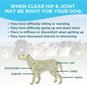 Clear Wellness 360 Clear Hip & Joint Health for Dogs White Smoke 3 Pack,1 Bottle,6 Pack