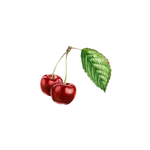Rustic Strength Cherry (Bitter Almond) Essential Oil Scenting Oil White Smoke