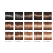 VIP Extensions Gabor Chic Choice Wig White Smoke GL1-2-Double Espresso,GL2-6 Black Coffee,GL4-8 Dark Chocolate,GL6-30 Mahogany,GL8-10 Dark Chestnut,GL8-29 Hazelnut,GL10-12 Sunlit Chestnut,GL10-14 Walnut,GL11-25 Honey Pecan,GL12-14 Mocha,GL12-16 Golden Walnut,GL14-16 Honey Toast,GL14-22 Sandy Blonde,GL15
