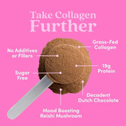 Further Food Chocolate Collagen Peptides Powder Collagen Hot Pink 11 oz. (14 SERVINGS),24 oz. (30 SERVINGS),Stick Packets (12 ct.)
