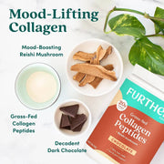 Further Food Chocolate Collagen Peptides Powder Collagen Beige 11 oz. (14 SERVINGS),24 oz. (30 SERVINGS),Stick Packets (12 ct.)