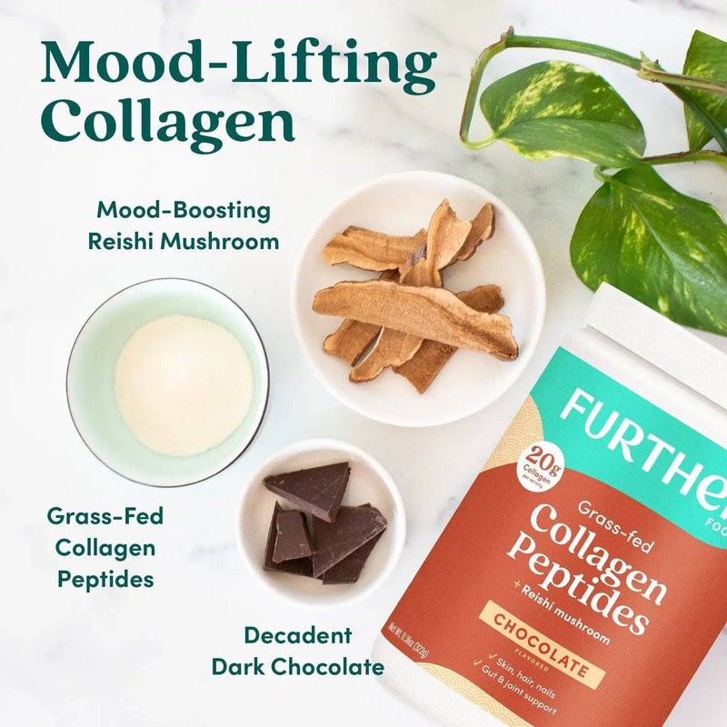 Further Food Chocolate Collagen Peptides Powder Collagen Beige 11 oz. (14 SERVINGS),24 oz. (30 SERVINGS),Stick Packets (12 ct.)