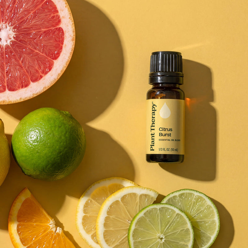 Plant Therapy Citrus Burst Essential Oil Blend Essential Oil Sandy Brown 10 mL,30 mL