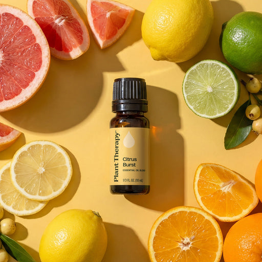 Plant Therapy Citrus Burst Essential Oil Blend Essential Oil Light Goldenrod 10 mL,30 mL