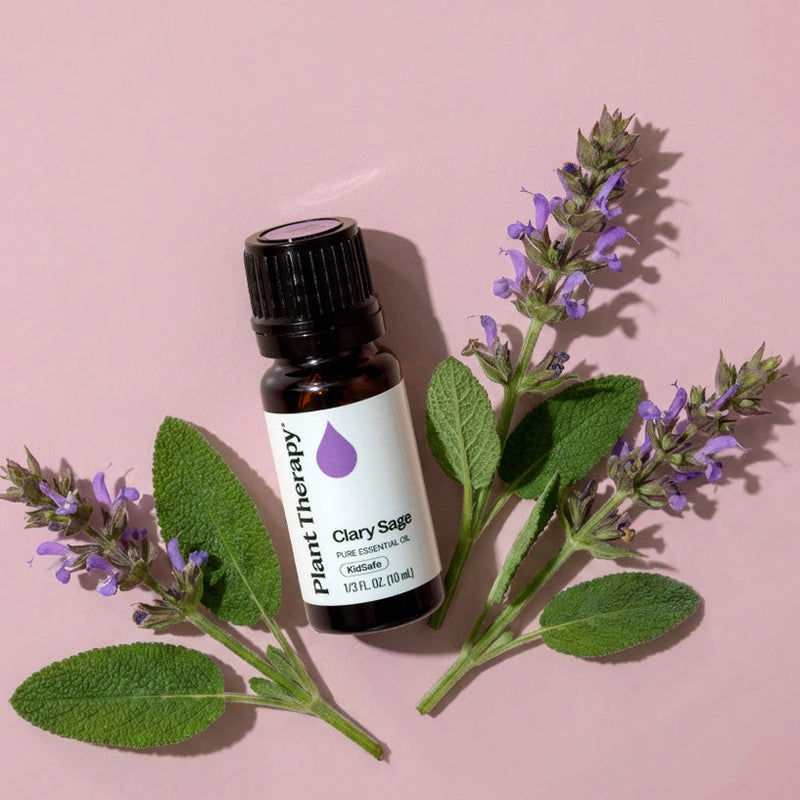 Plant Therapy Clary Sage Essential Oil Essential Oil Gray 10 mL,30 mL,100 mL