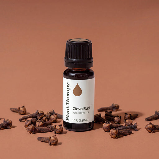 Plant Therapy Clove Bud Essential Oil Essential Oil Rosy Brown 10 mL,30 mL,100 mL