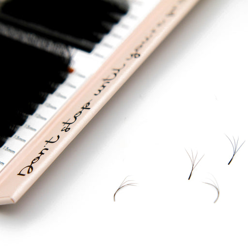 Mega Lash Academy Clover Lashes Black 0.07 / C / Mixed 8-15 mm,0.07 / CC / Mixed 8-15 mm,0.07 / D / Mixed 8-15 mm