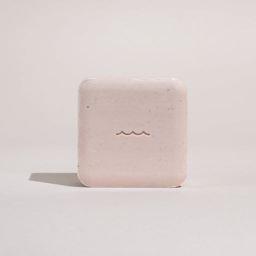 Shore Soap Co. Coconut Bikini Bar Soap Bar Soap Gray Single Bar,3 for $24