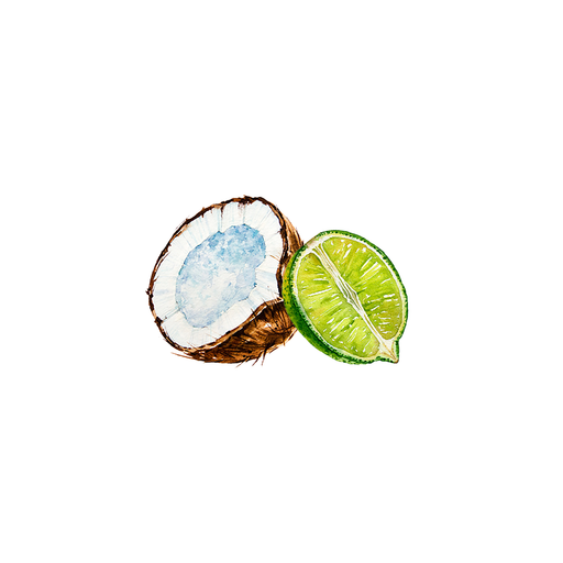 Rustic Strength Coconut & Lime EO / FO Blend Scenting Oil White Smoke