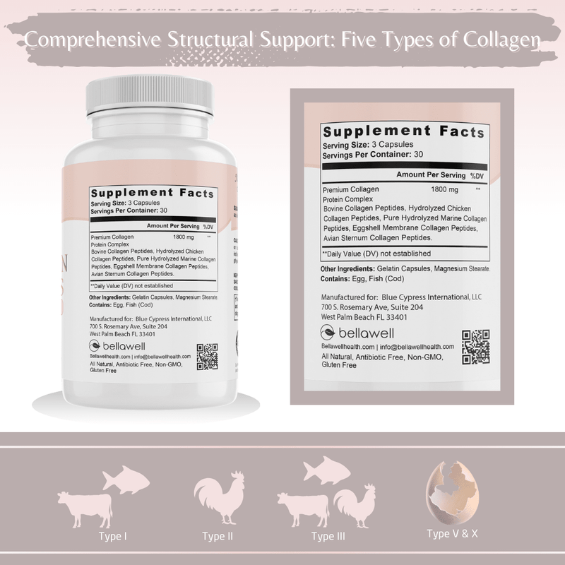 Collagen Peptides Types I, II, III, V, X by Bellawell