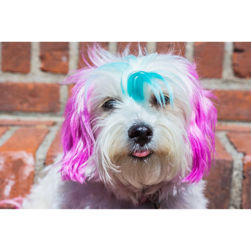Warren London Canine Color Semi Perm Coat Color Shampoo for Dogs Spa Product Dim Gray Blue,Red,Pink,Teal,Rose Gold,Purple,Green,Lilac,All 8 Pack of Colors